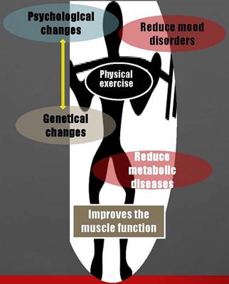 Physical Exercise: An Overview of Benefits From Psychological Level to Genetics and Beyond